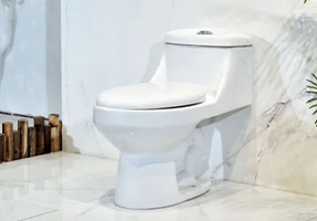 Inodoros de alta calidad y todo para tu baño.